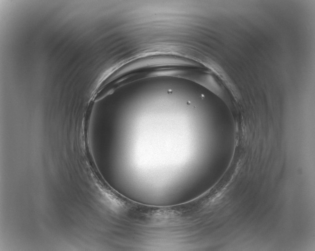X0000062690842200512211434