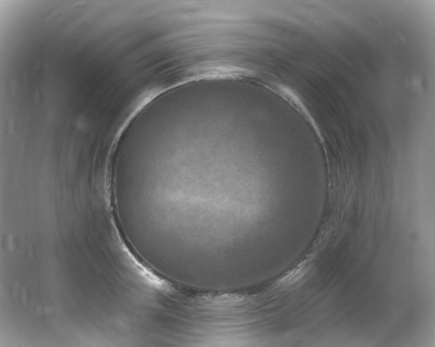 X0000062690851200512211434