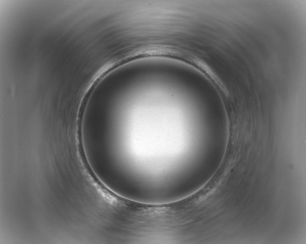 X0000062690853200512211434