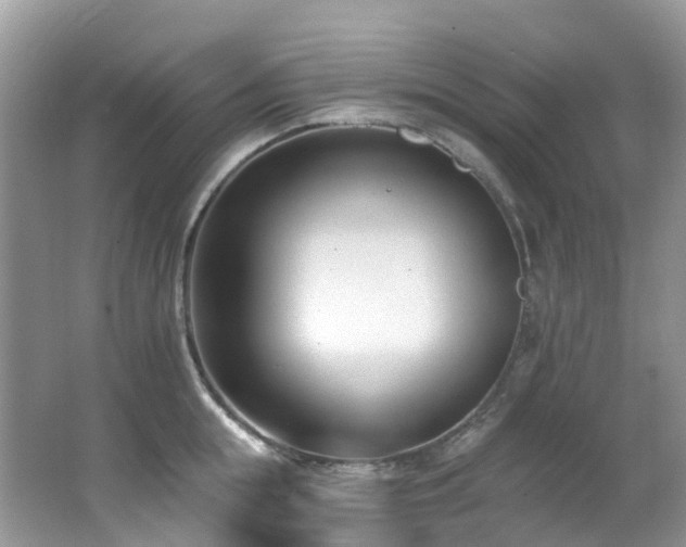 X0000062690855200512211434