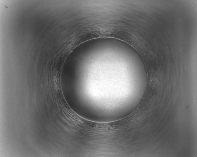 X0000062690866200512211433
