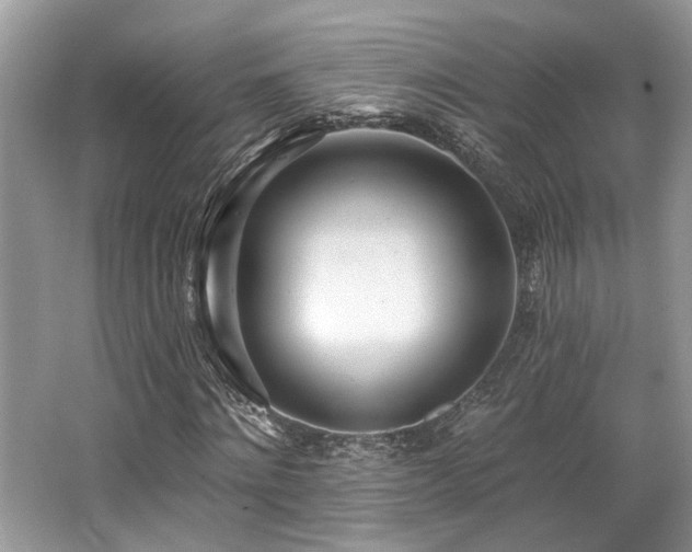 X0000062690868200512211433