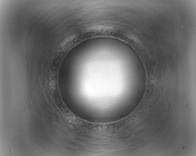 X0000062690869200512211433