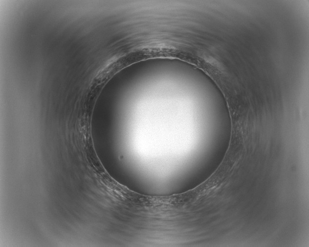 X0000062690870200512211433