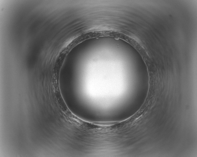 X0000062690871200512211433