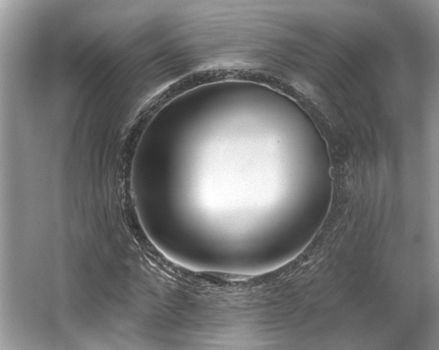 X0000062690872200512211433