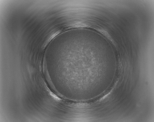 X0000062690889200512211433