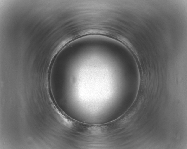 X0000062690898200512211433