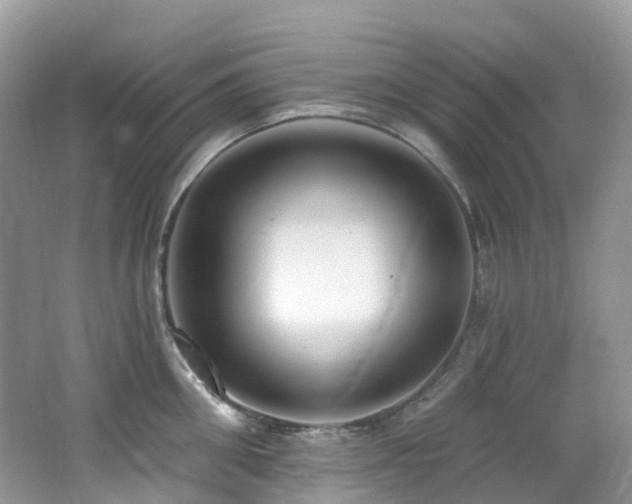 X0000062690906200512211432
