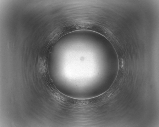 X0000062690915200512211431