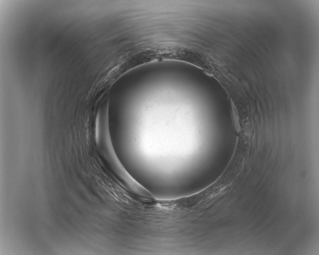 X0000062690916200512211431