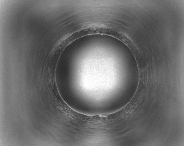 X0000062690919200512211432