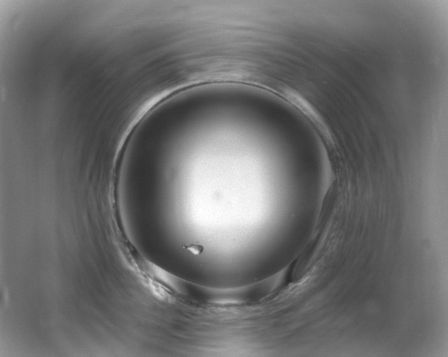 X0000062690956200512211432