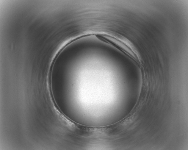 X0000062690958200512211432