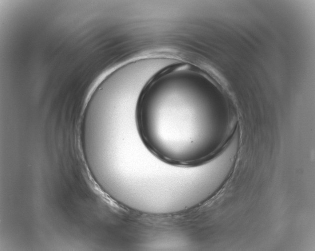 X0000062690960200512211432