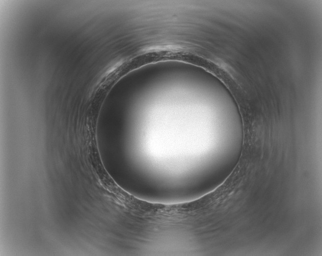 X0000062690967200512211431