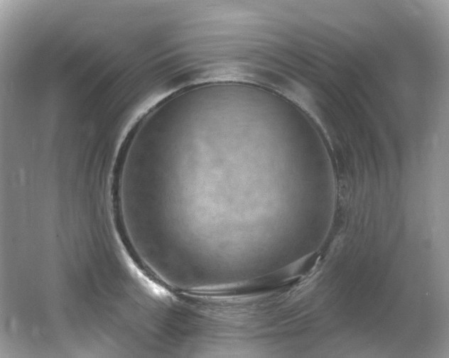 X0000062690995200512211431