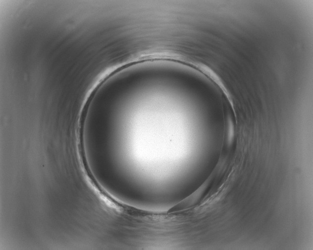 X0000062691005200512211431