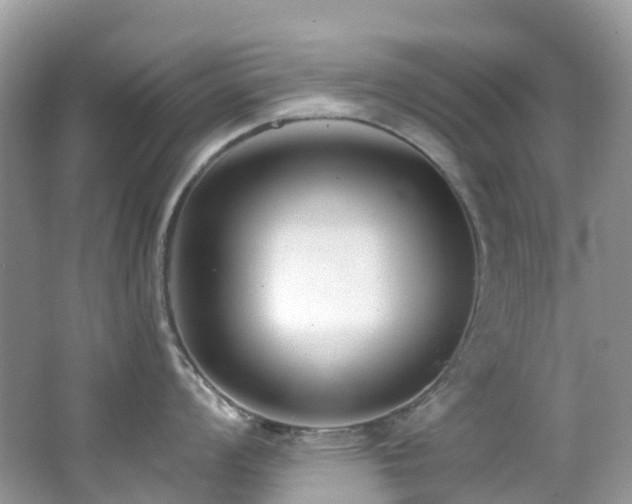 X0000062691008200512211431