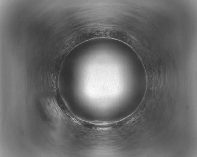 X0000062691013200512211430