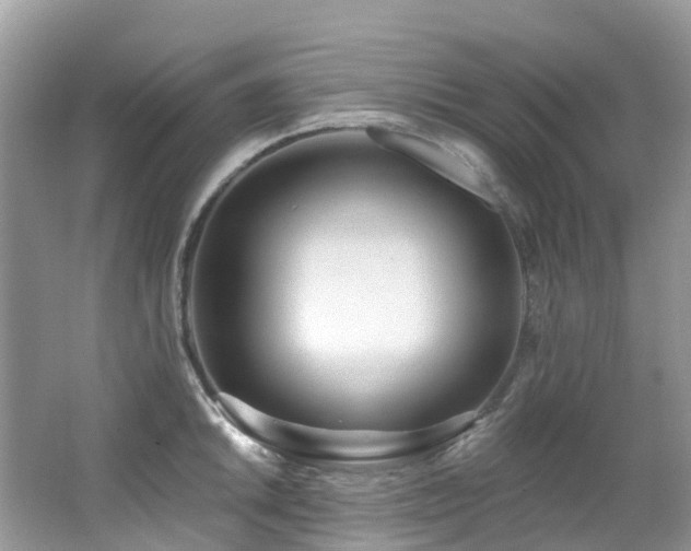 X0000062691046200512211430