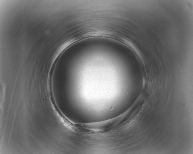 X0000062691050200512211430