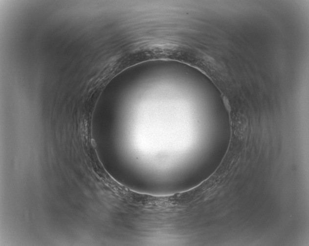 X0000062691061200512211430