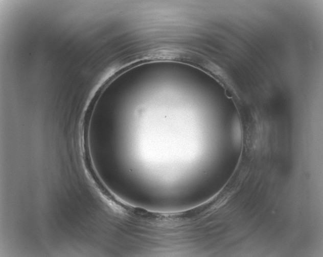 X0000062691083200512211429