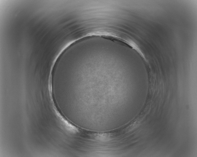 X0000062691084200512211429