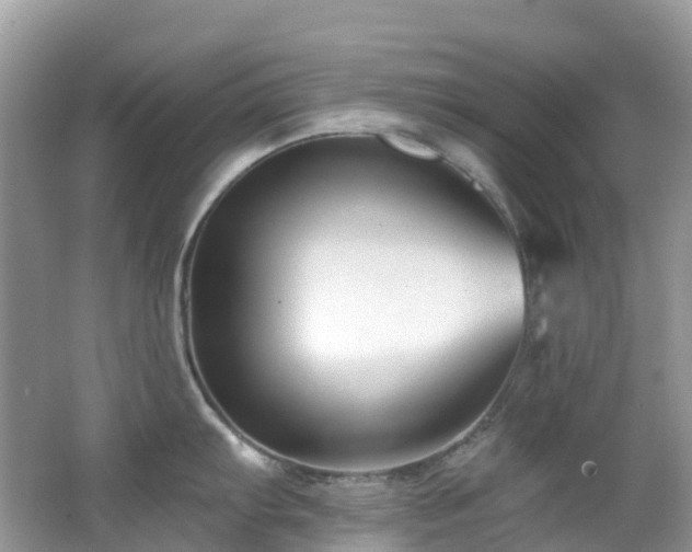 X0000062691103200512211429