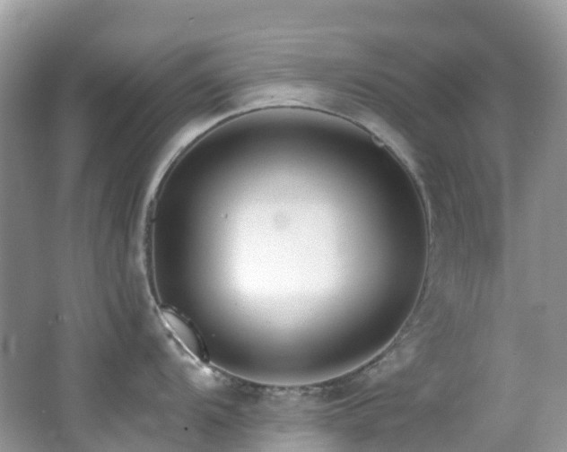 X0000062691104200512211429
