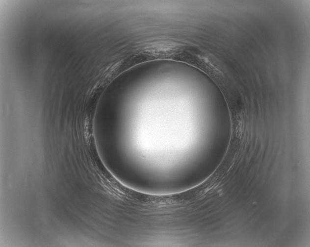 X0000062691108200512211428