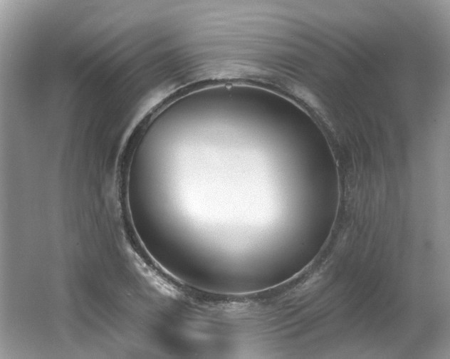 X0000062691122200512211428