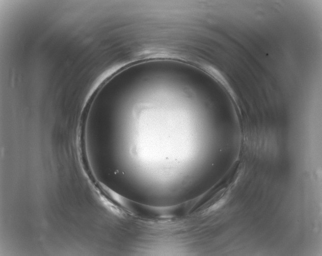 X0000062691149200512211429