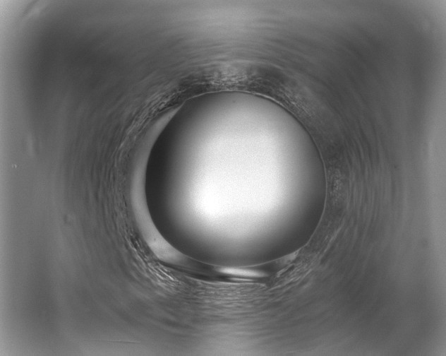 X0000062691153200512211428