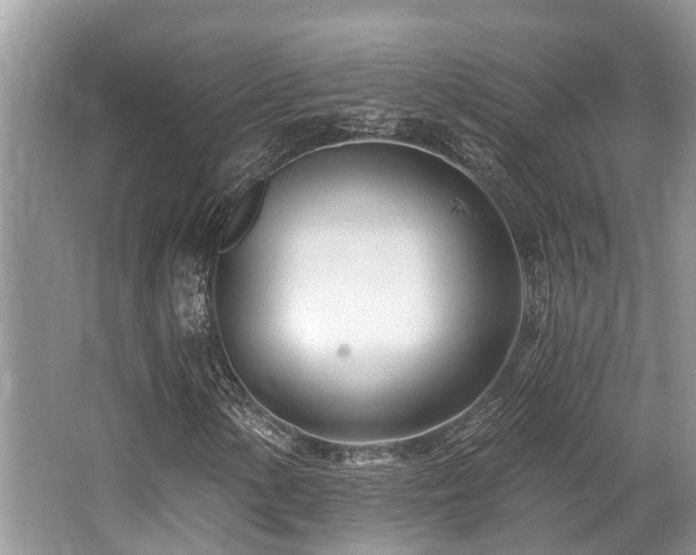 X0000062691154200512211428