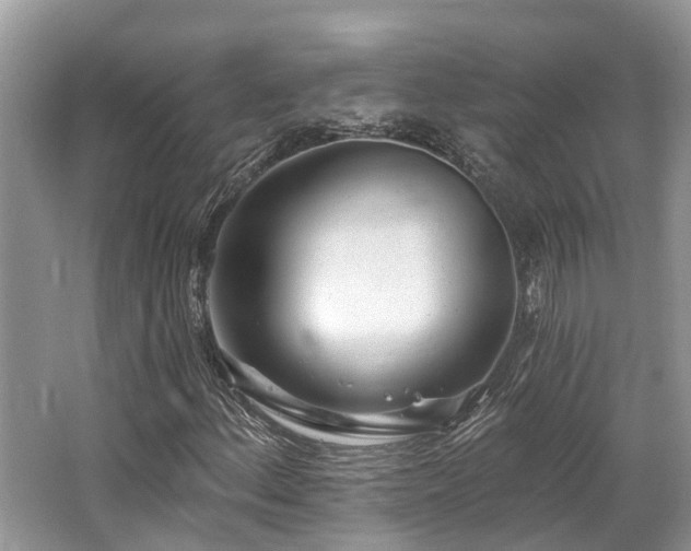 X0000062691156200512211428