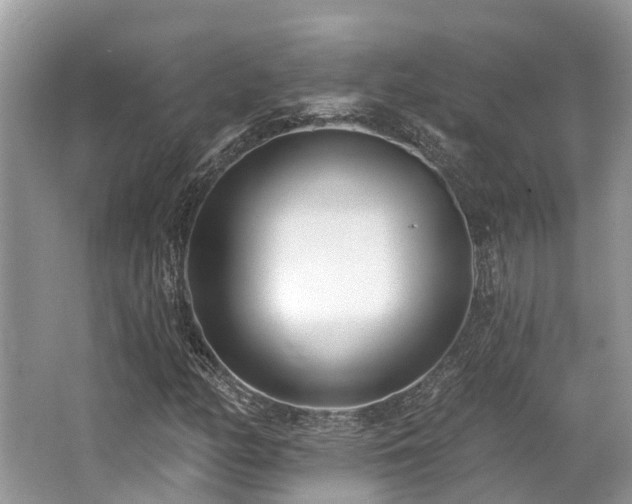 X0000062691158200512211428