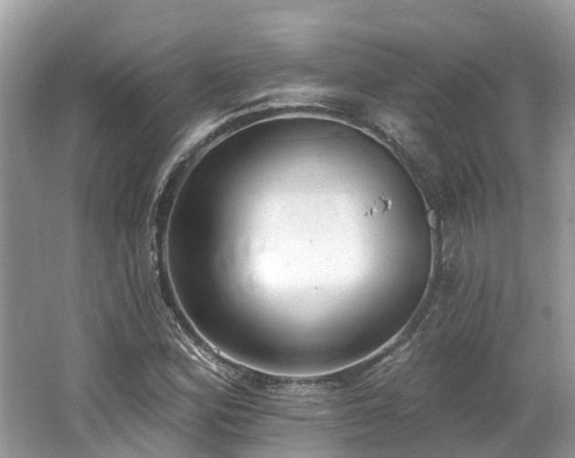 X0000062691164200512211428