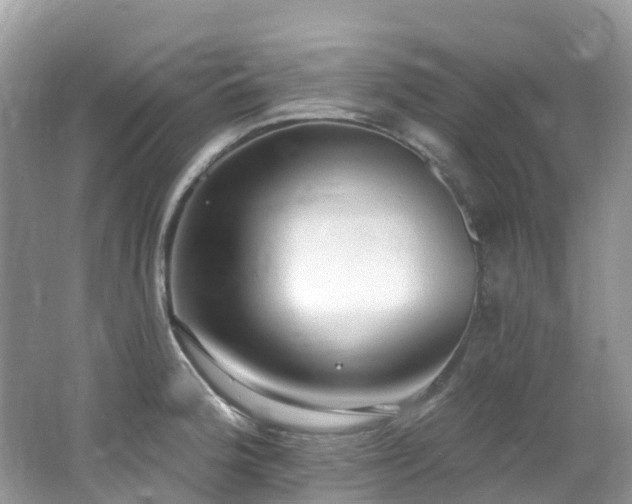 X0000062691188200512211427