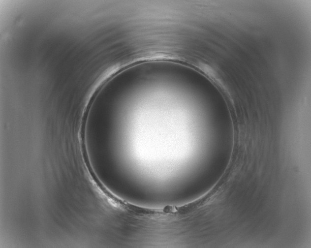 X0000062691189200512211427
