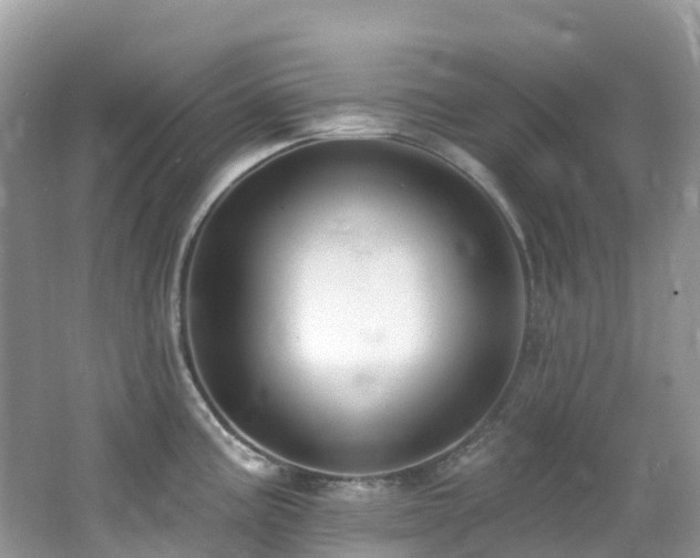 X0000062691195200512211427