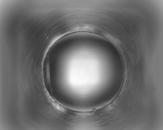 X0000062691200200512211427