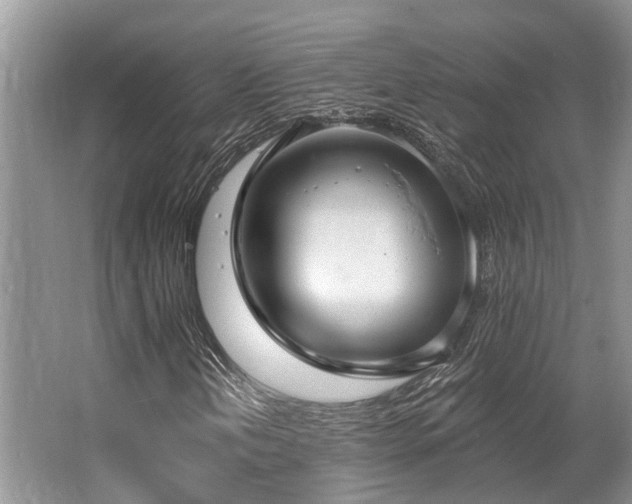X0000062691202200512211426