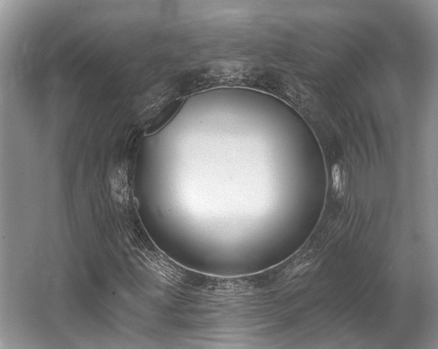 X0000062691203200512211426