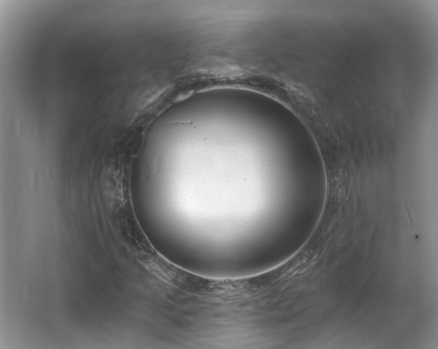 X0000062691205200512211427