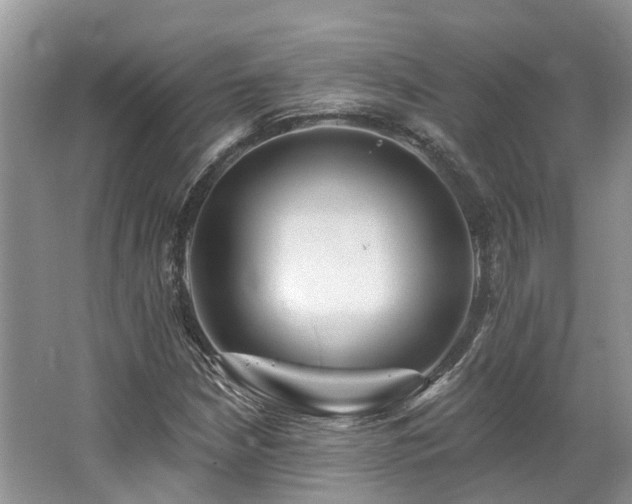 X0000062691210200512211427