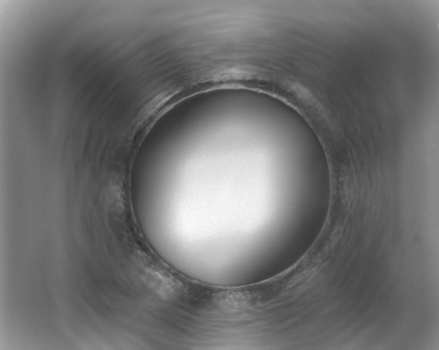X0000062691217200512211427