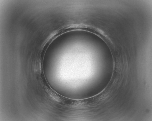 X0000062691221200512211427