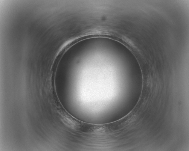 X0000062691222200512211427